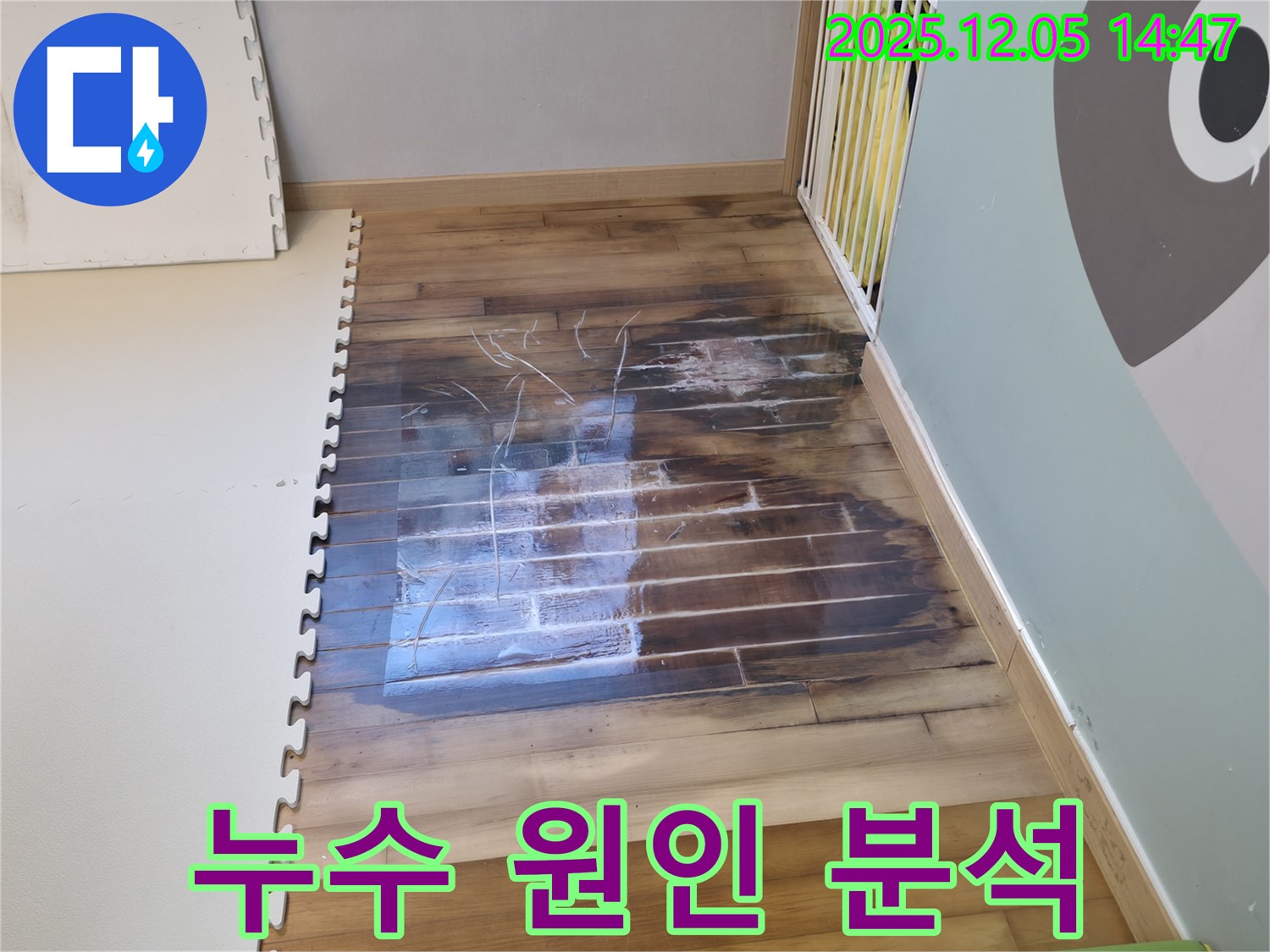 누수 원인 분석 - 전문 장비 사용