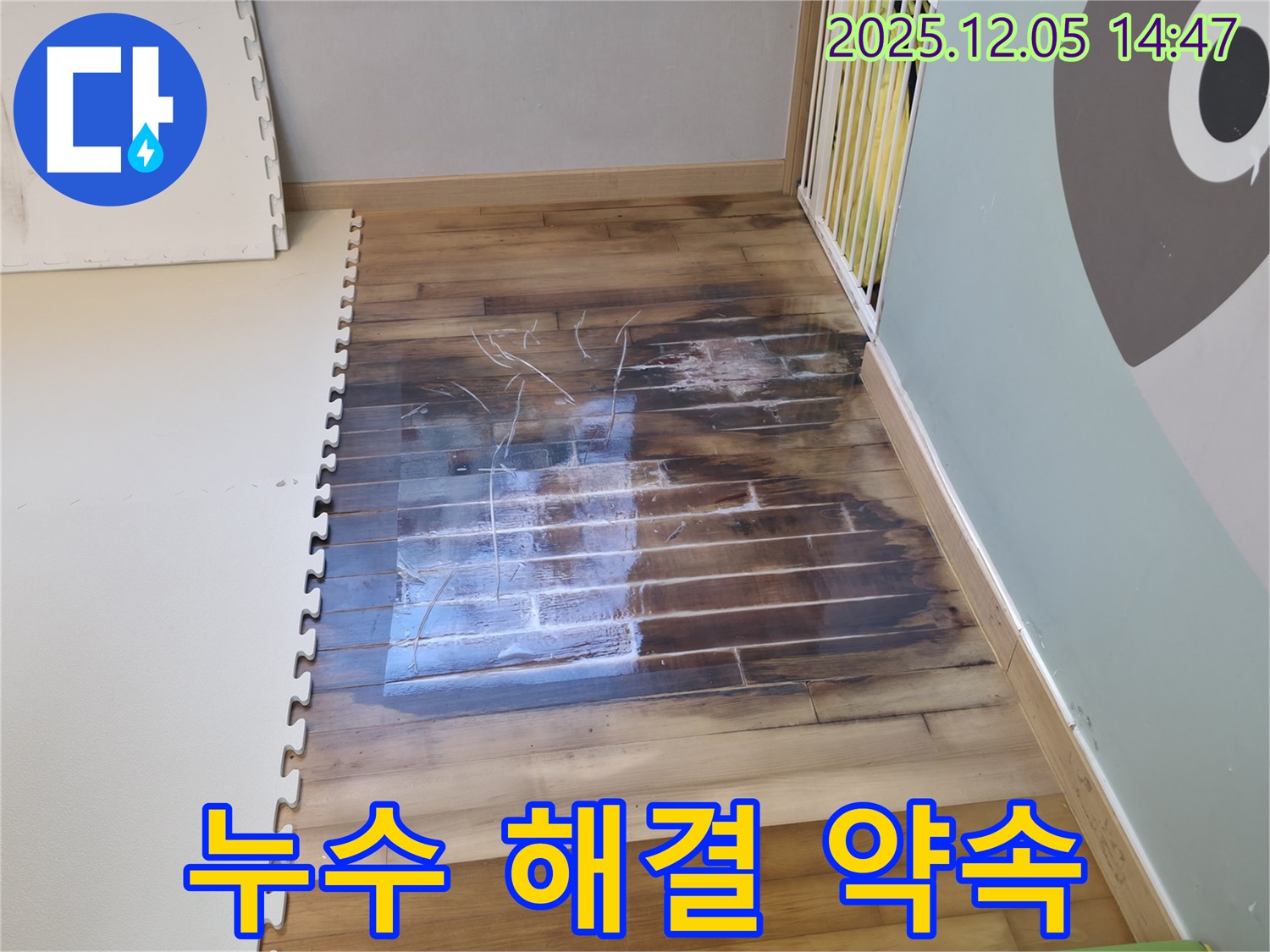 누수 해결 약속 - 믿음직한 전문가