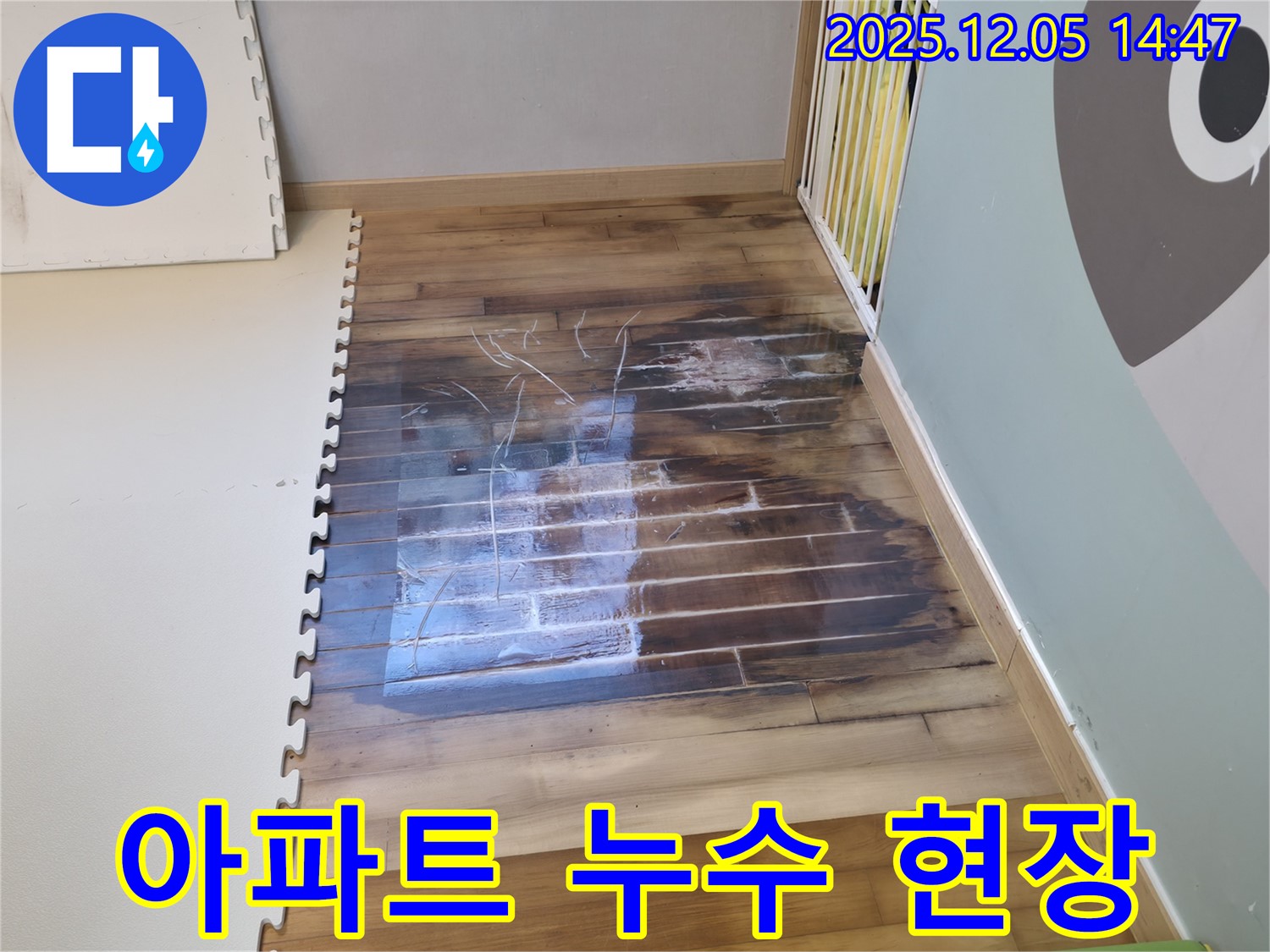 아파트 누수 현장 - 바닥 손상