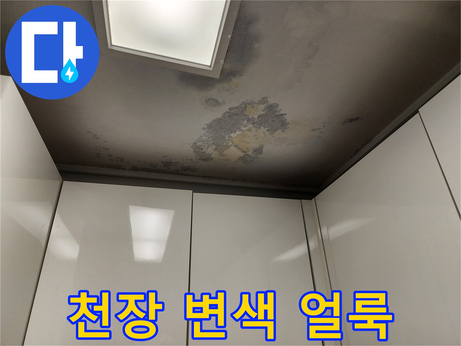 누수로 인해 오염된 천장 마감재의 모습