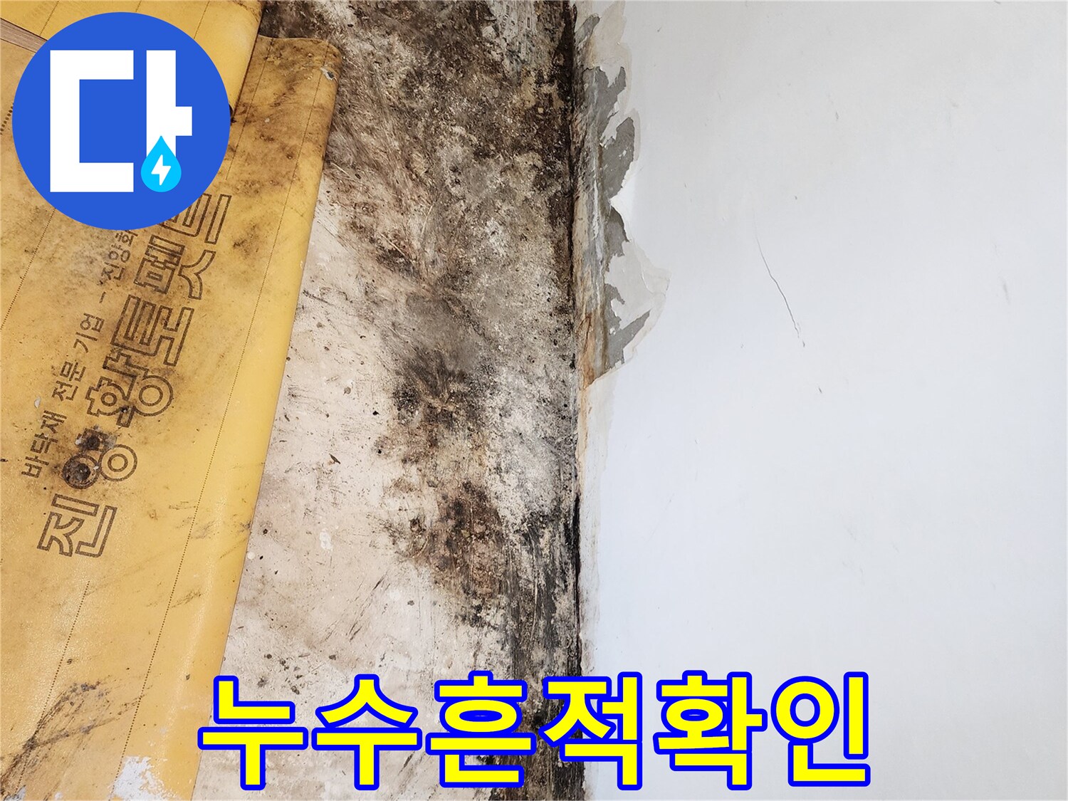 바닥재 아래 드러난 습기와 곰팡이 흔적