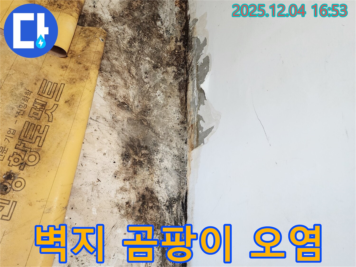 벽지 곰팡이 오염 - 누수 해결이 우선