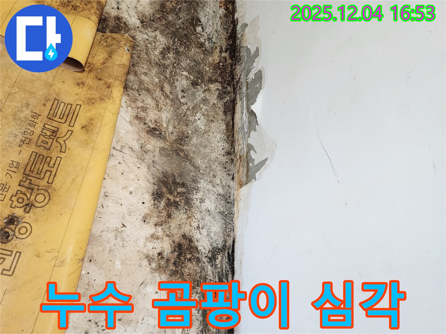 심각한 누수와 곰팡이 - 시공 전 문제 상황