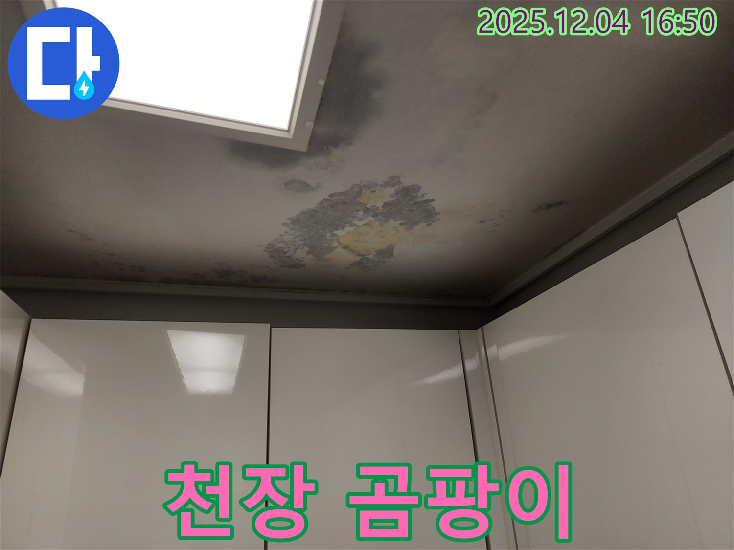 천장 곰팡이 - 누수 - 곰팡이 제거와 누수 해결.