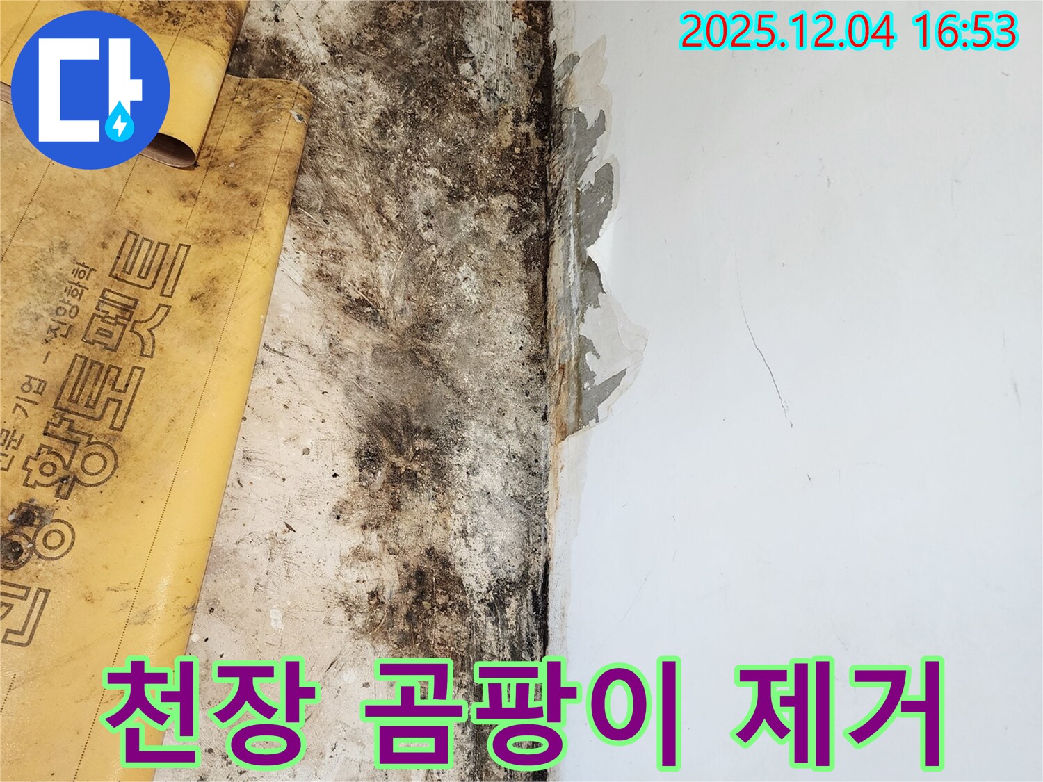 천장 곰팡이 제거 작업 - 꼼꼼한 곰팡이 제거 과정