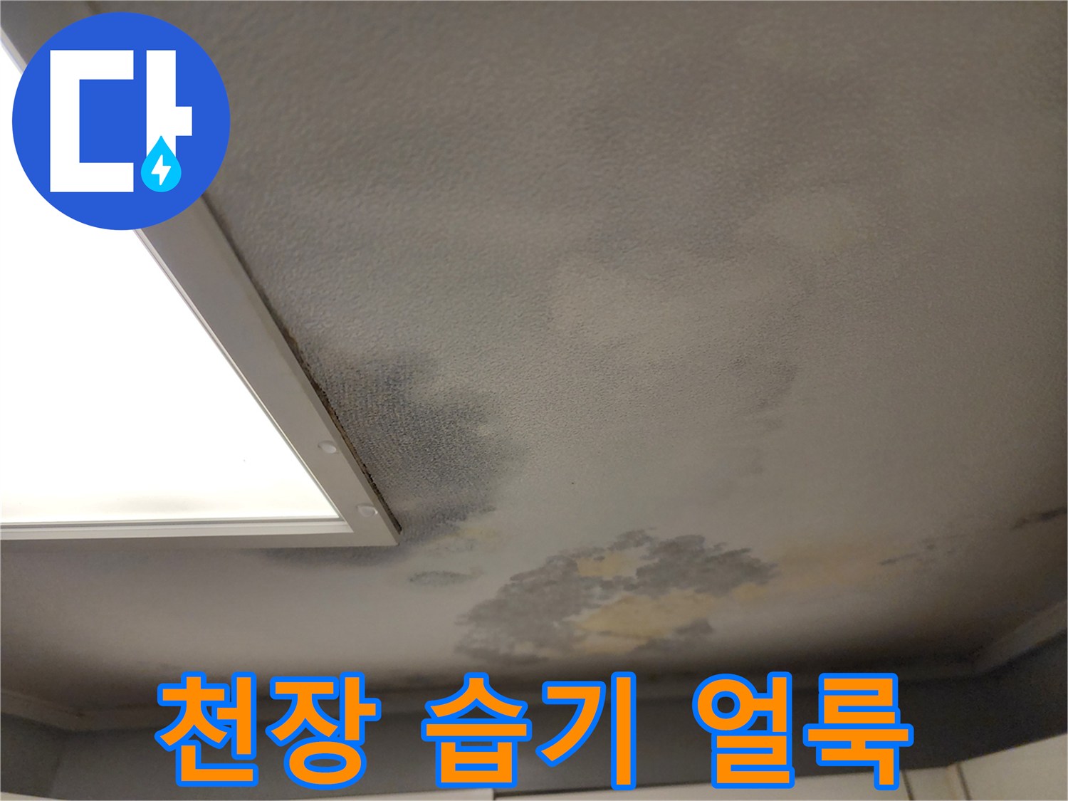 천장-마감재-부분별-습기-침투-흔적