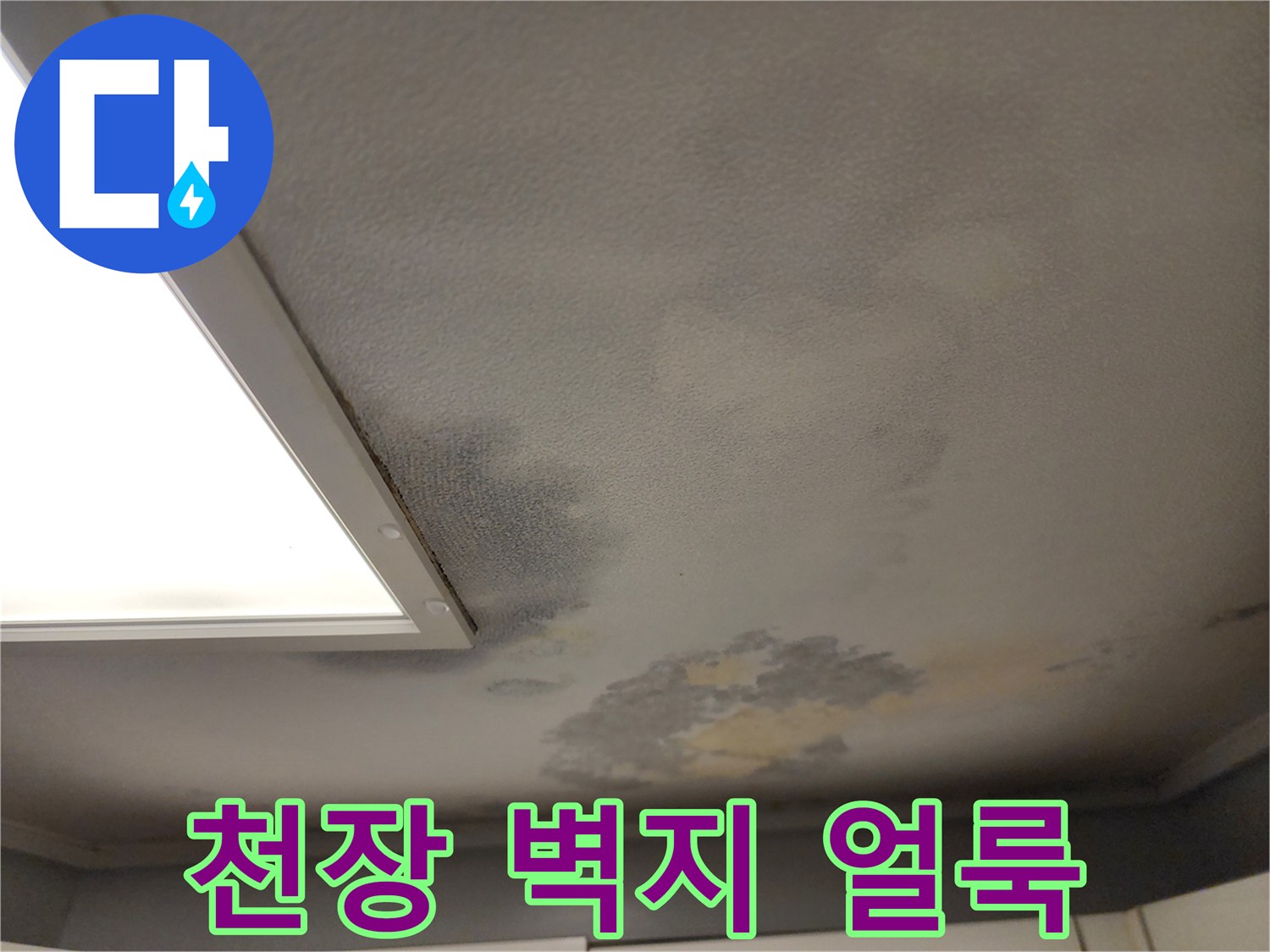 천장-벽지-얼룩과-젖은-흔적-촬영