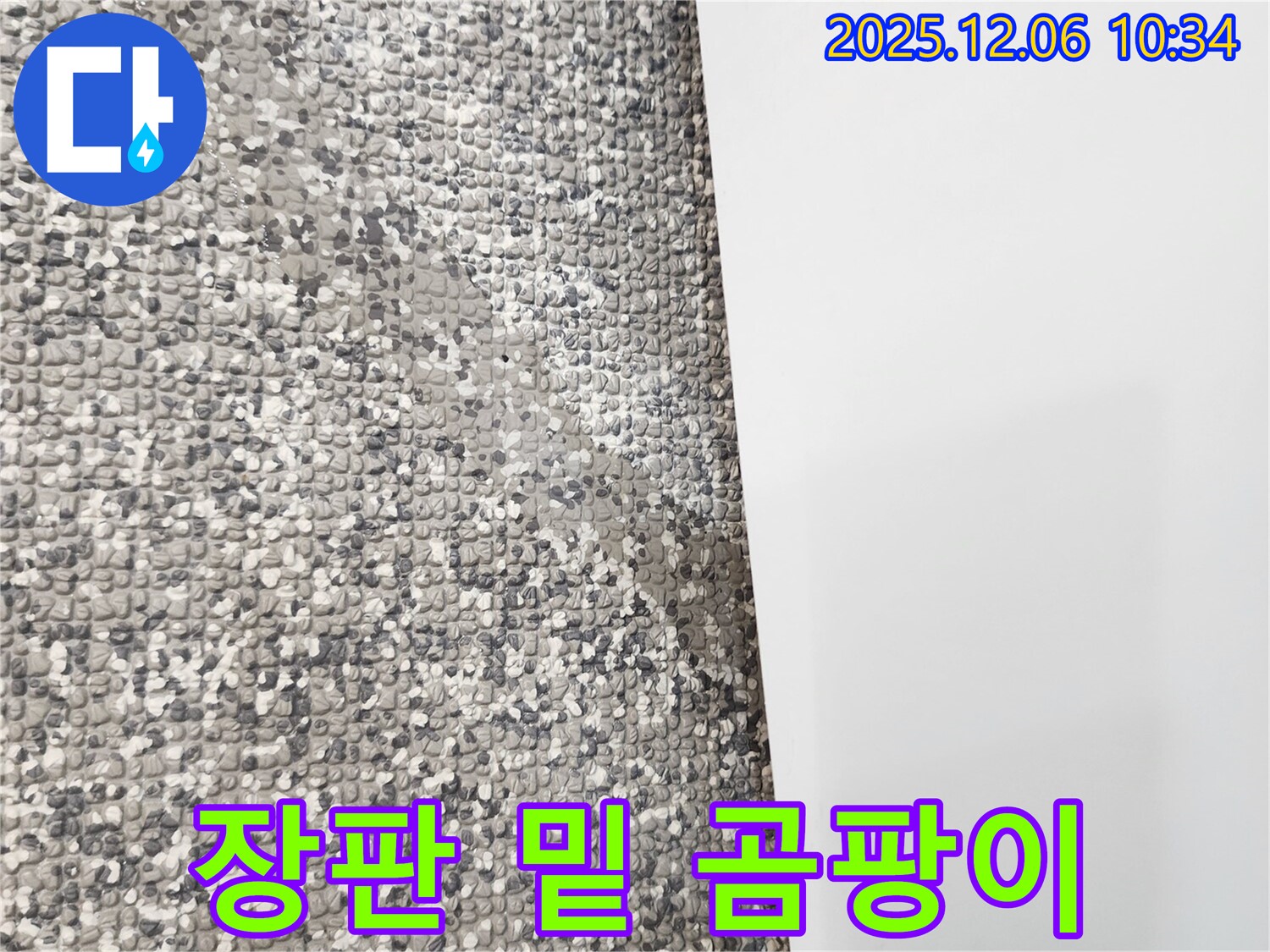장판 밑 곰팡이 - 건강에 해로운 환경입니다.