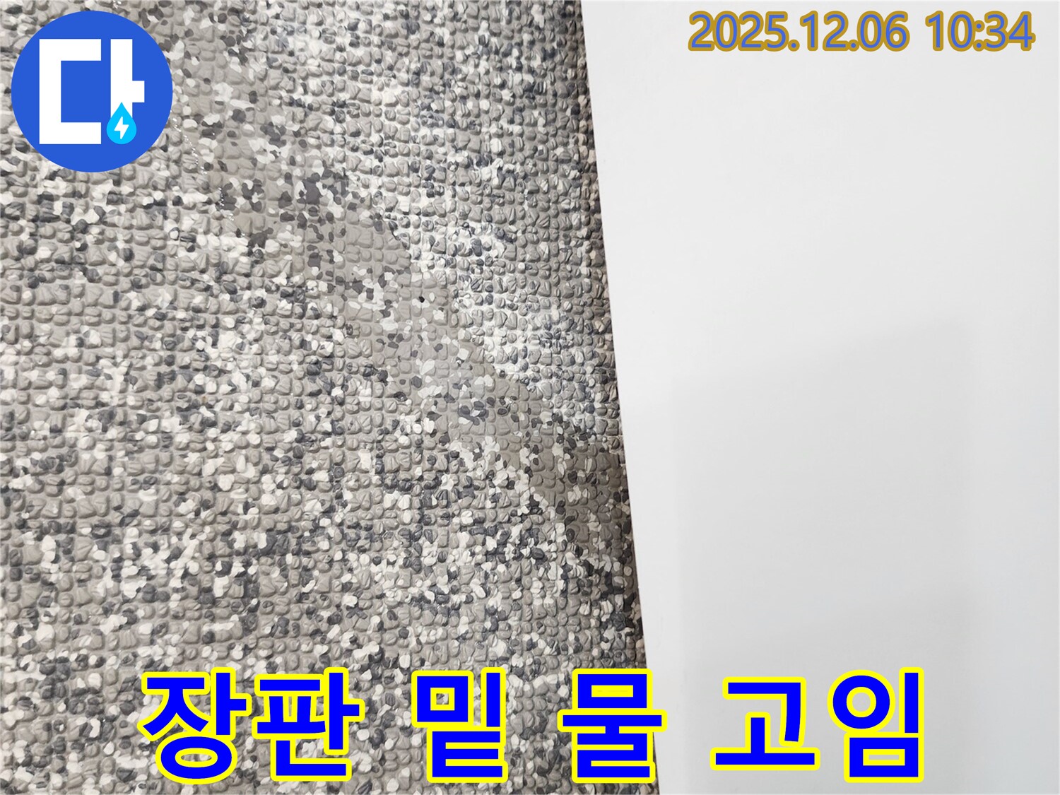 장판 밑 물 고임 - 심각한 누수 상황입니다.