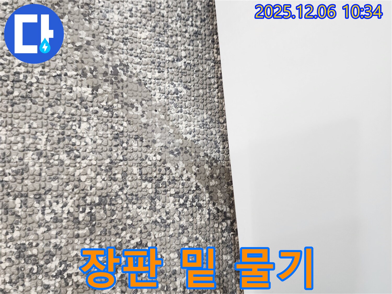 장판 밑 물기 - 습기와 곰팡이의 온상입니다.