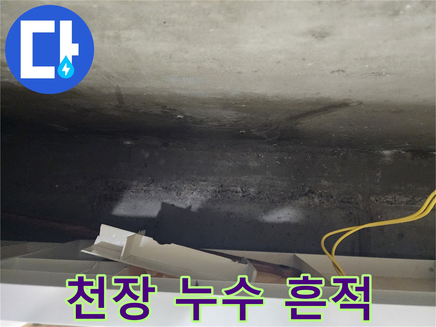 천장 누수 흔적 - 정밀 진단