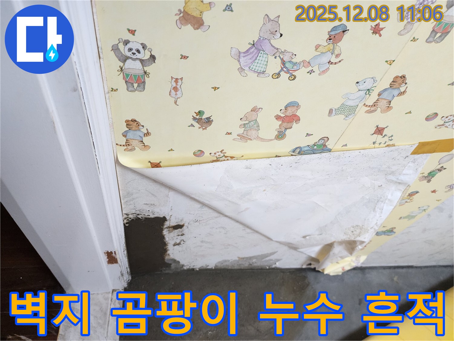 거사리 누수 현장 - 곰팡이 핀 벽지, 누수 흔적 발견