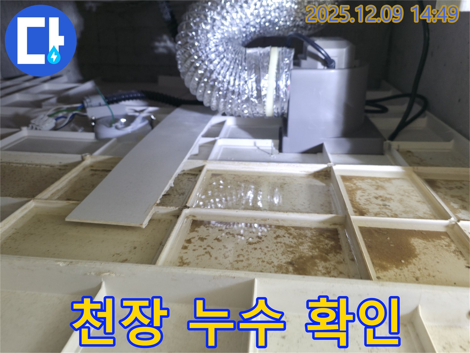 천장 누수 확인 - 누수 상태를 꼼꼼히 확인