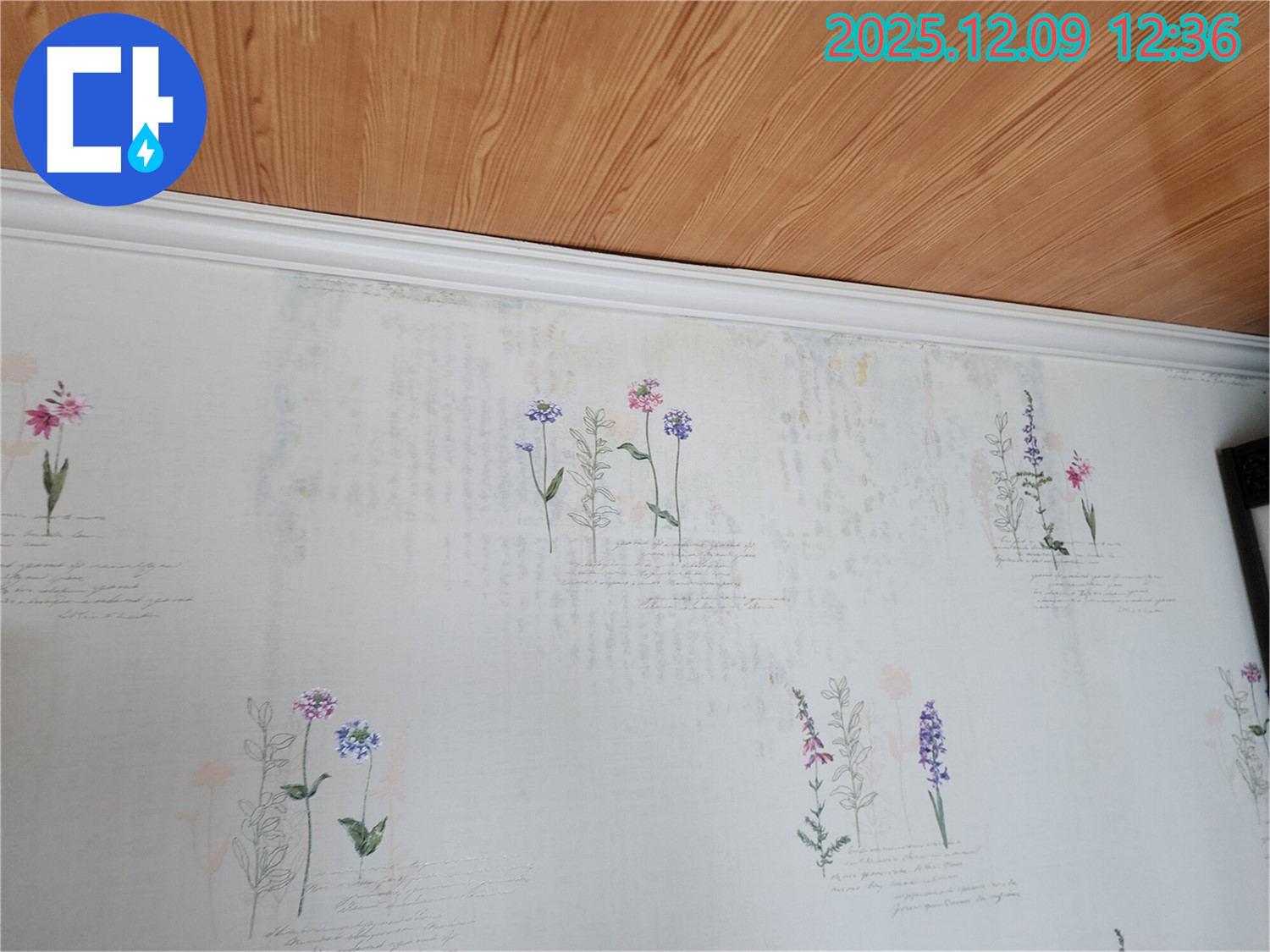 영중면 성동리 누수 문제 해결 - 벽지 곰팡이가 꽃밭처럼 번진 누수 원인을 잡고 싹 제거하는 누수 공사