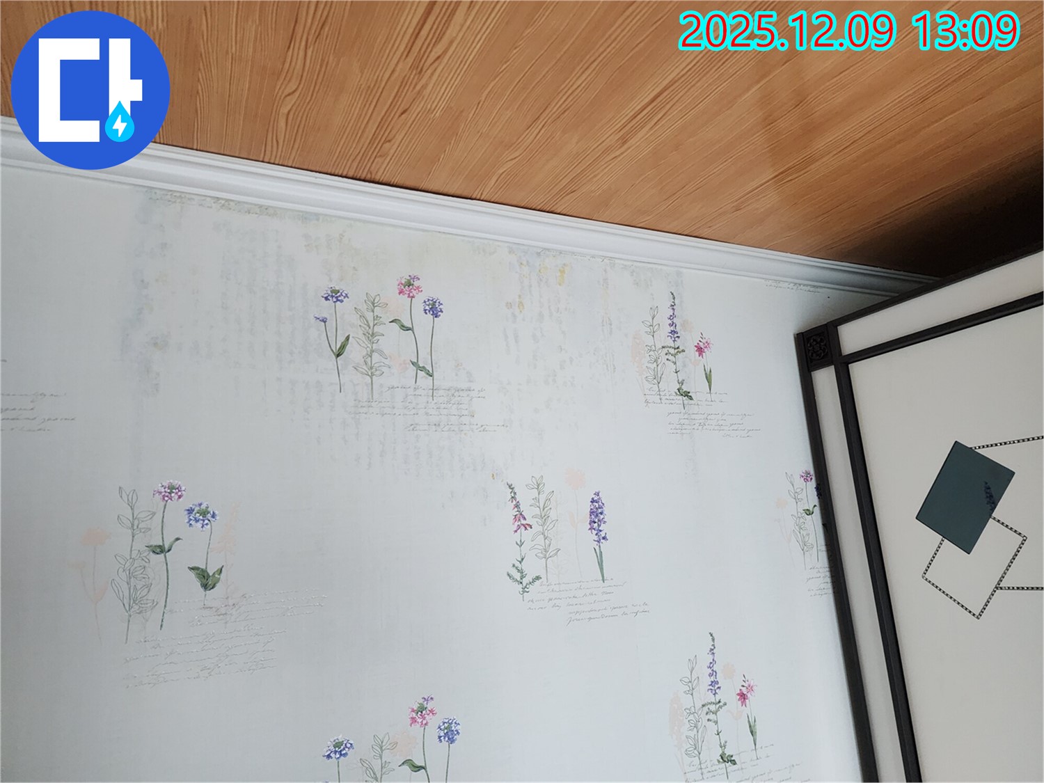 곰팡이 슨 벽지는 건강에 해롭습니다 - 누수 해결로 곰팡이 걱정 없이 건강하게 생활하세요.