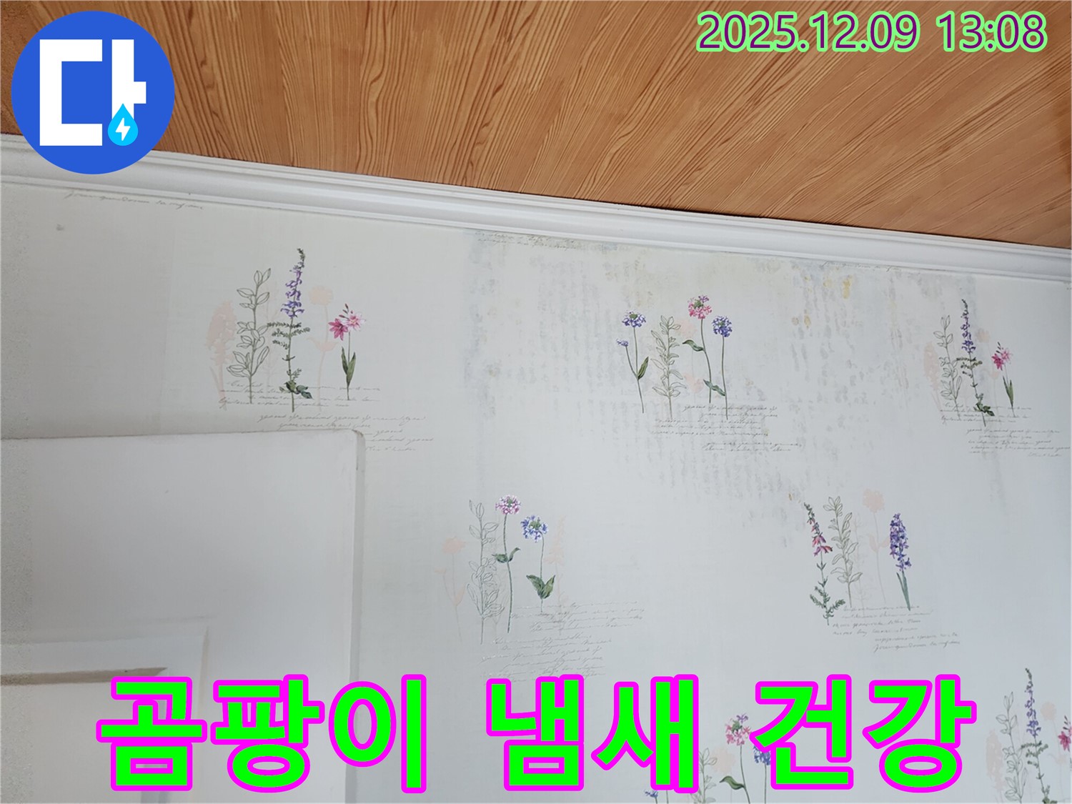 곰팡이 냄새 - 건강 위협 - 즉시 해결