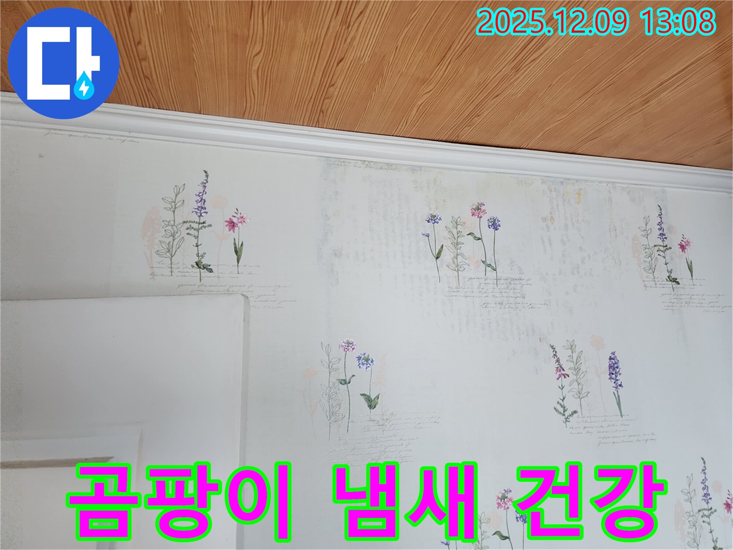 곰팡이 냄새 - 건강 위협 - 즉시 해결