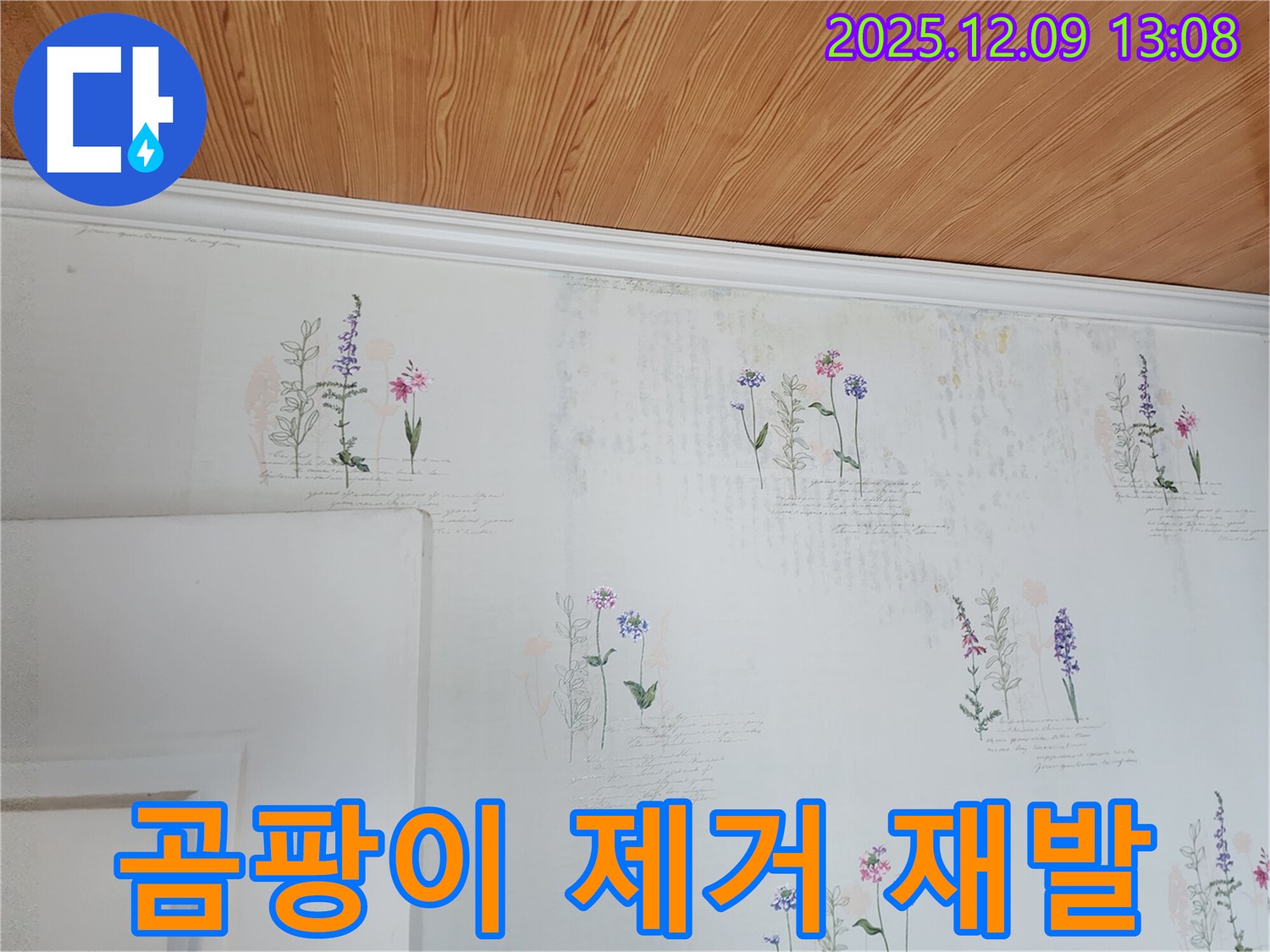 곰팡이 제거 - 재발 방지 - 완벽 시공