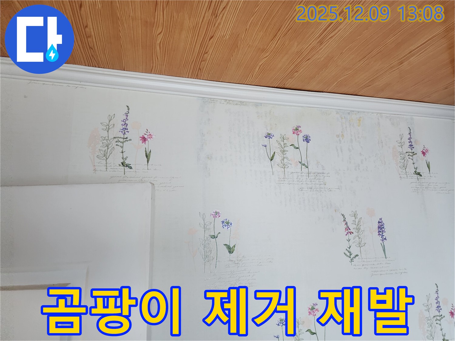 곰팡이 제거 - 재발 방지 - 철저한 시공