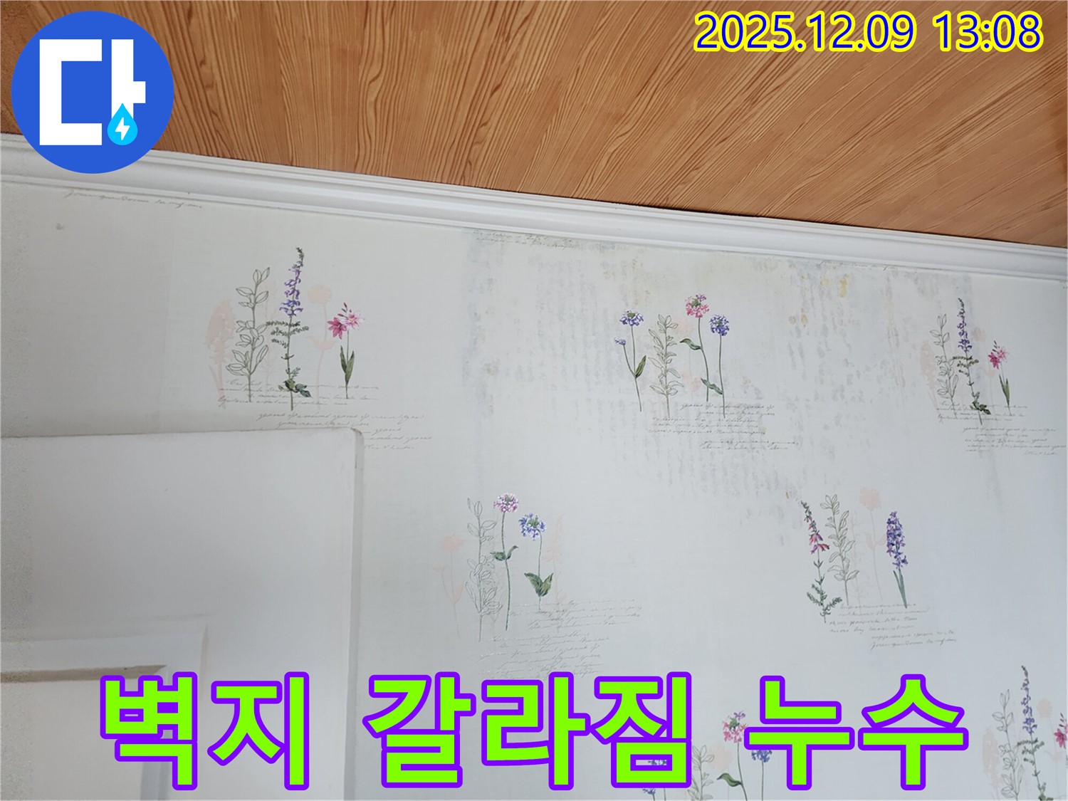 벽지 갈라짐 - 누수 가능성 - 정밀 진단