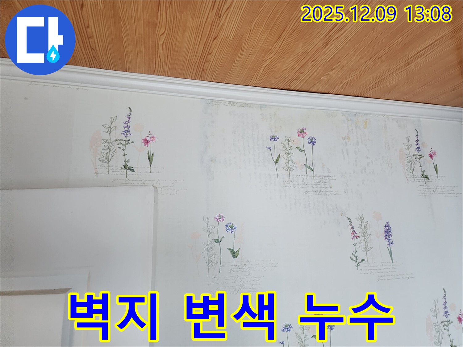 벽지 변색 - 숨겨진 누수 - 꼼꼼한 점검