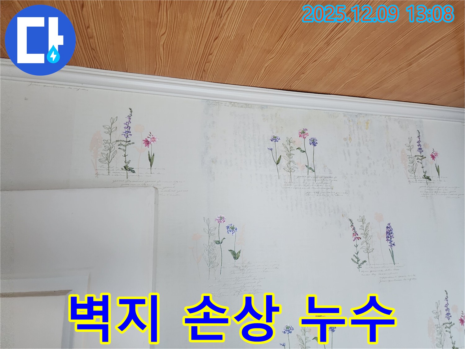 벽지 손상 - 누수 원인 - 전문가 진단