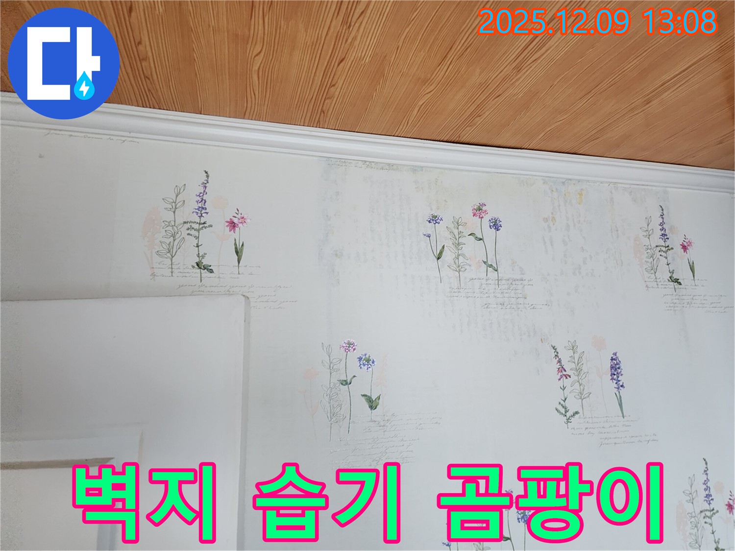 벽지 습기 - 곰팡이 예방 - 쾌적한 환경