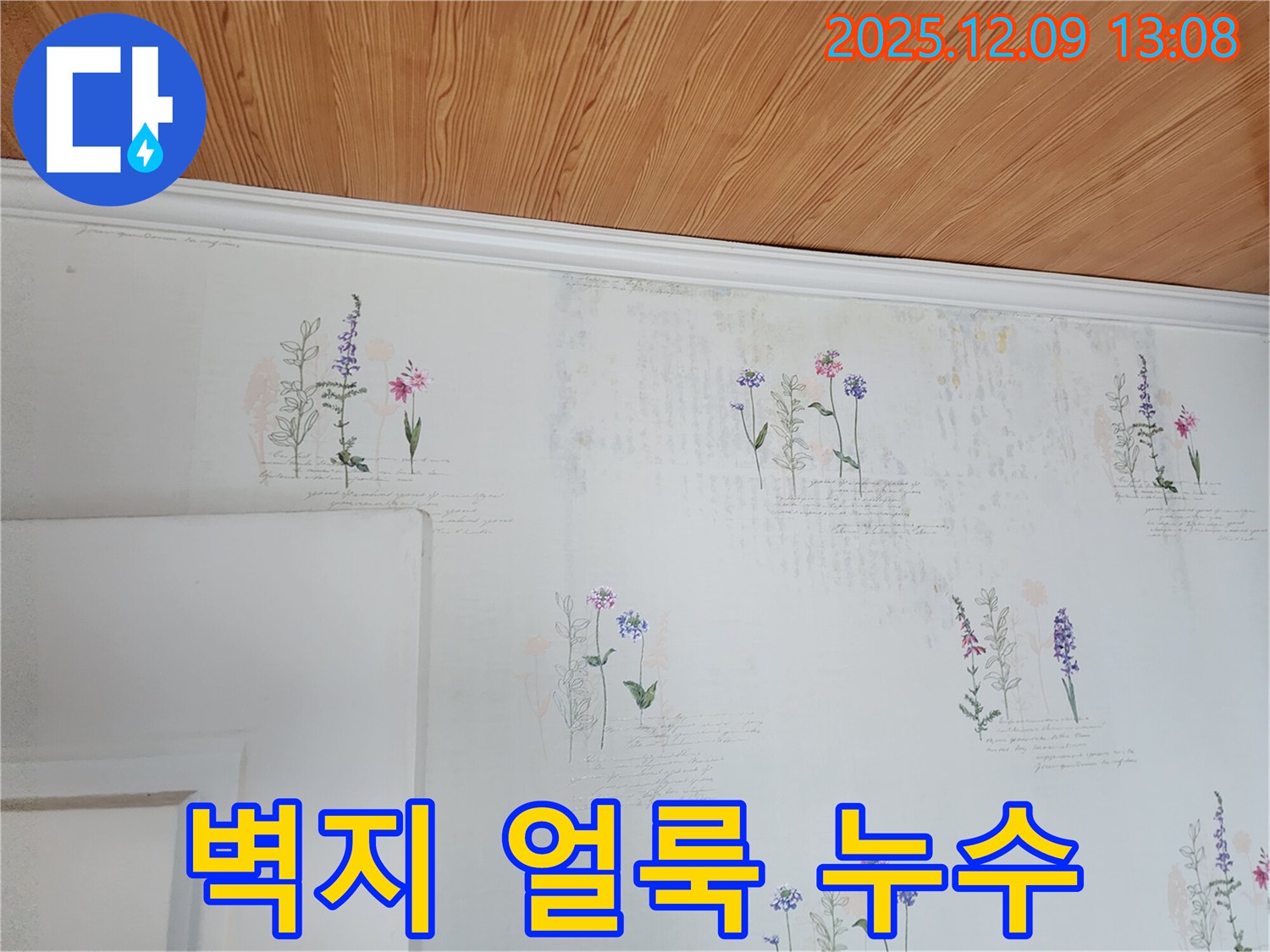 벽지 얼룩 - 누수 흔적 - 정밀 탐지