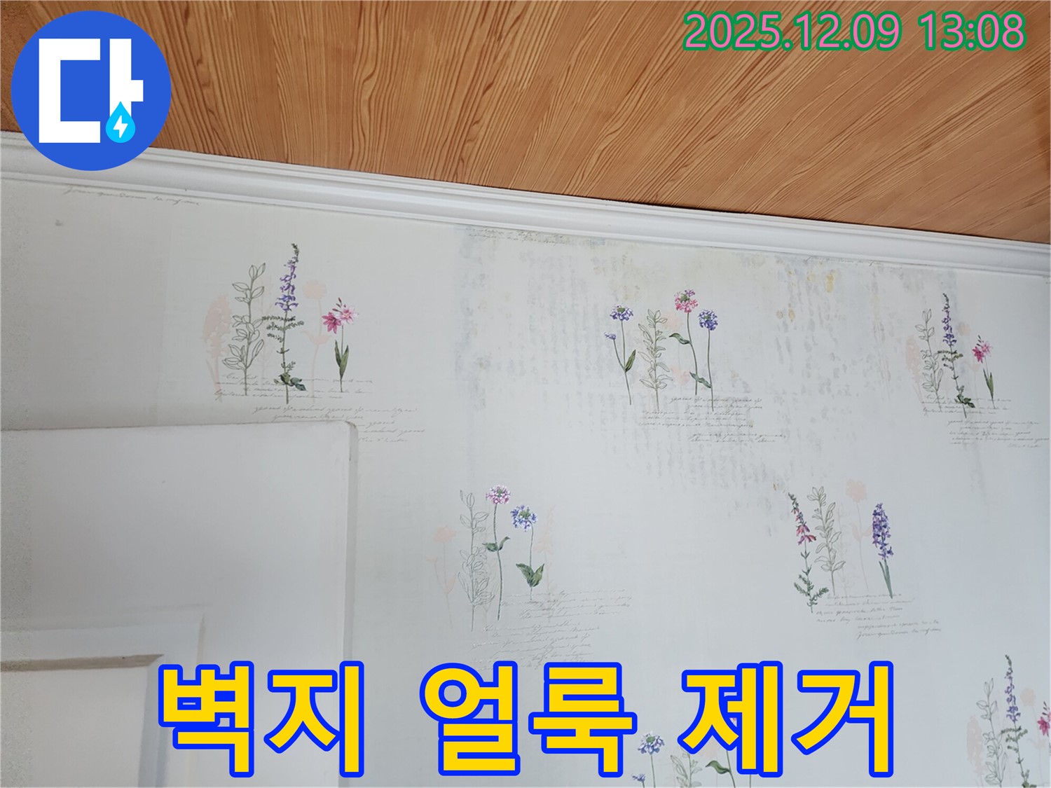 벽지 얼룩 제거 - 누수 해결 - 완벽 시공