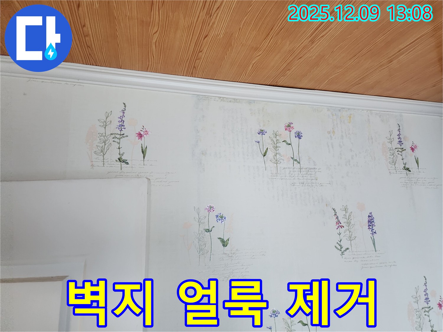 벽지 얼룩 제거 - 누수 해결 - 완벽 약속