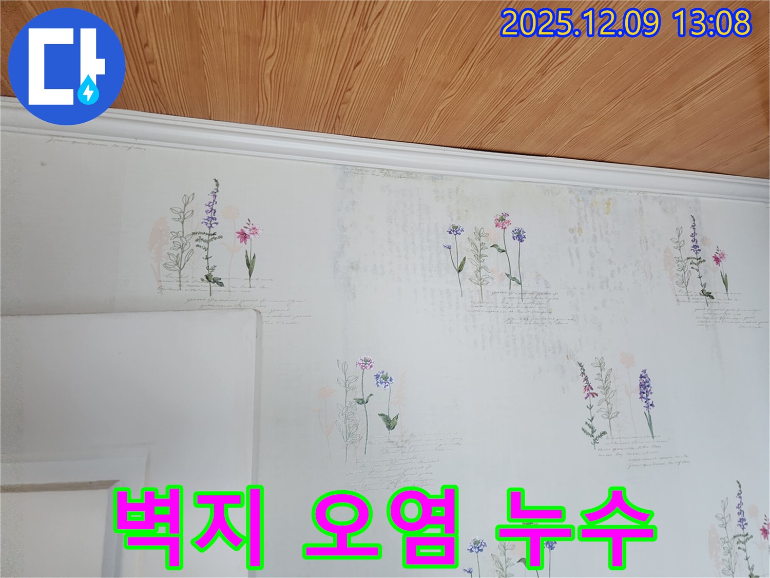 벽지 오염 - 누수 예방 - 빠른 조치