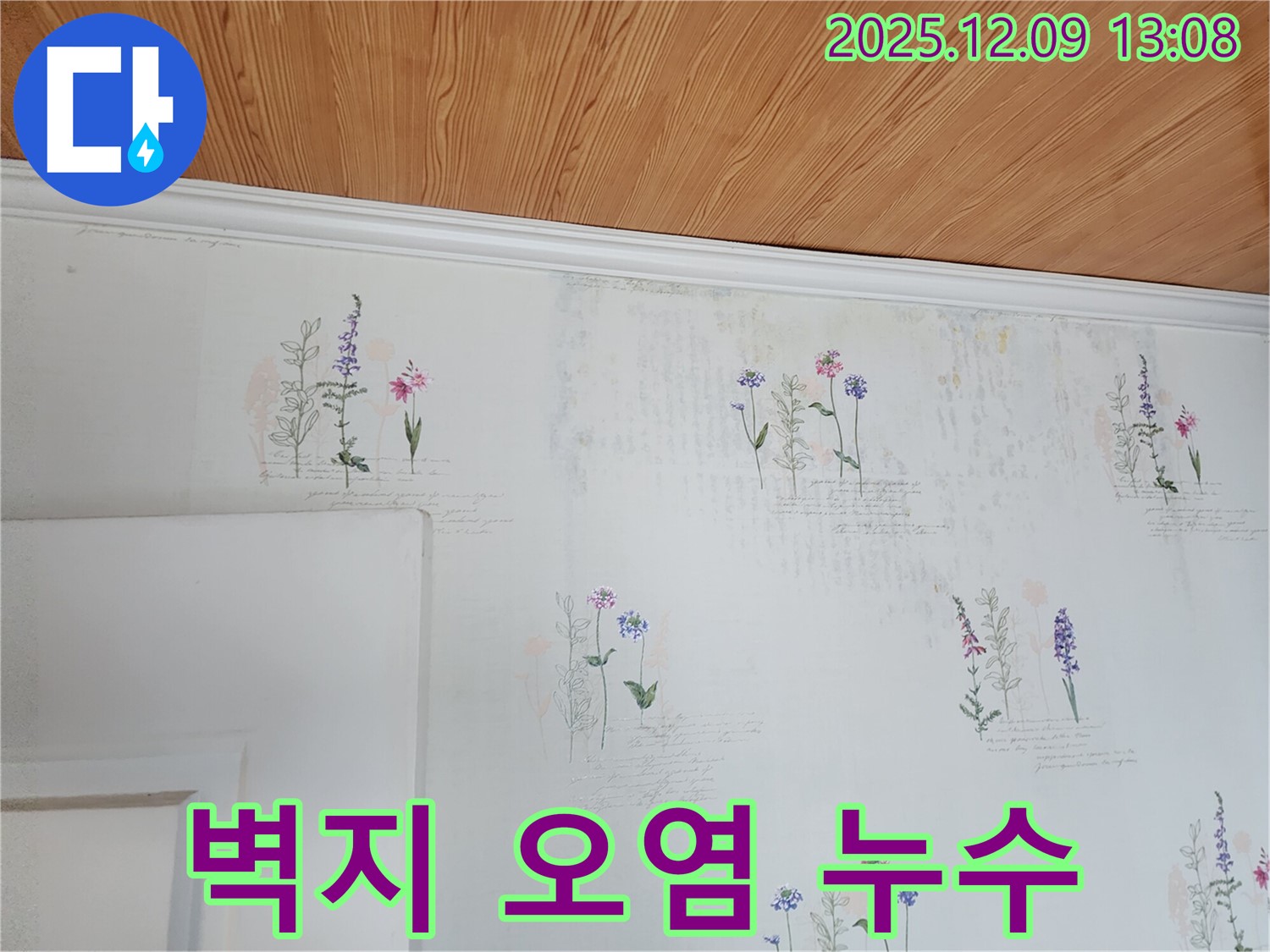 벽지 오염 - 누수 피해 - 빠른 조치