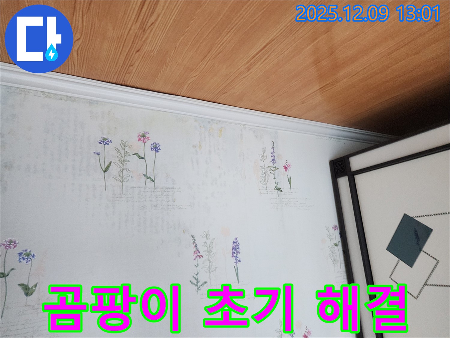 성동리 누수 현장 - 곰팡이 초기 단계 발견 및 해결 과정