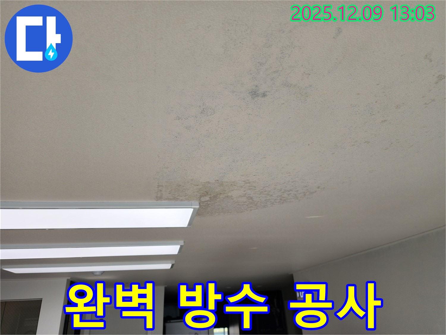 성동리 - 완벽한 천장 방수 공사