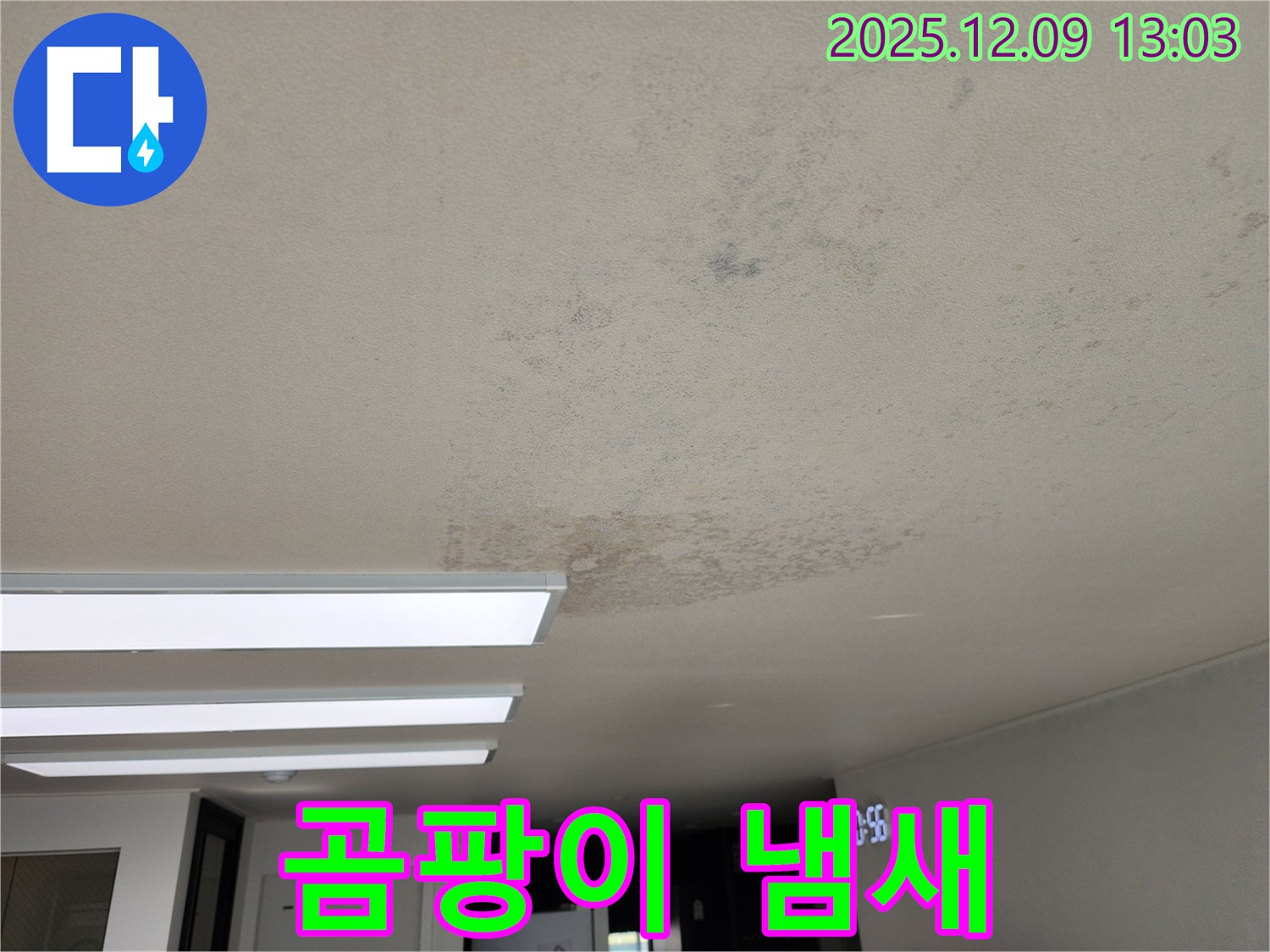 성동리 - 천장 누수로 인한 곰팡이 냄새