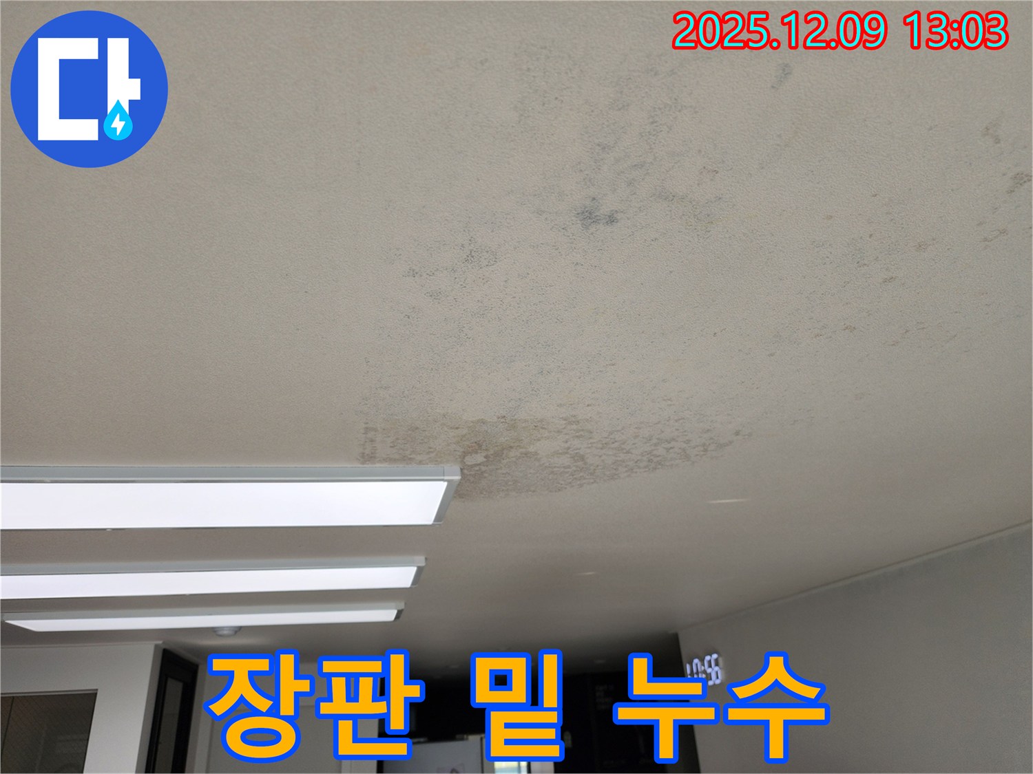 영중면 성동리 - 장판 밑에 고인 물 - 누수 긴급 점검