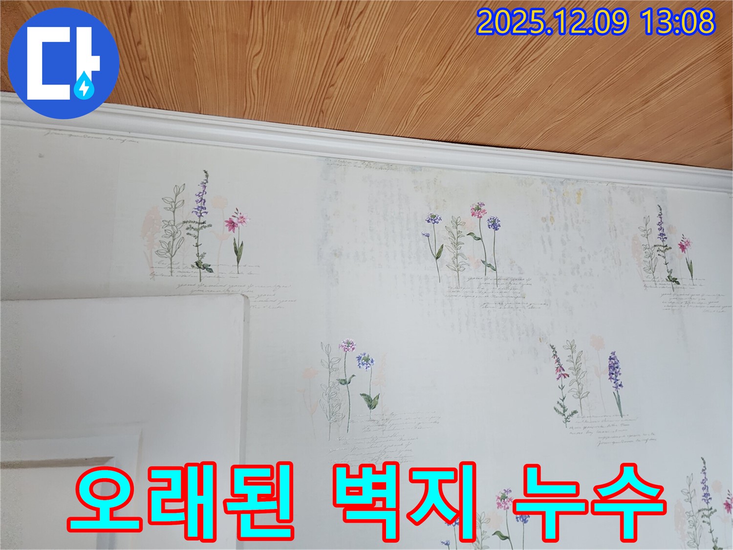 오래된 벽지 - 누수 위험 - 사전 진단