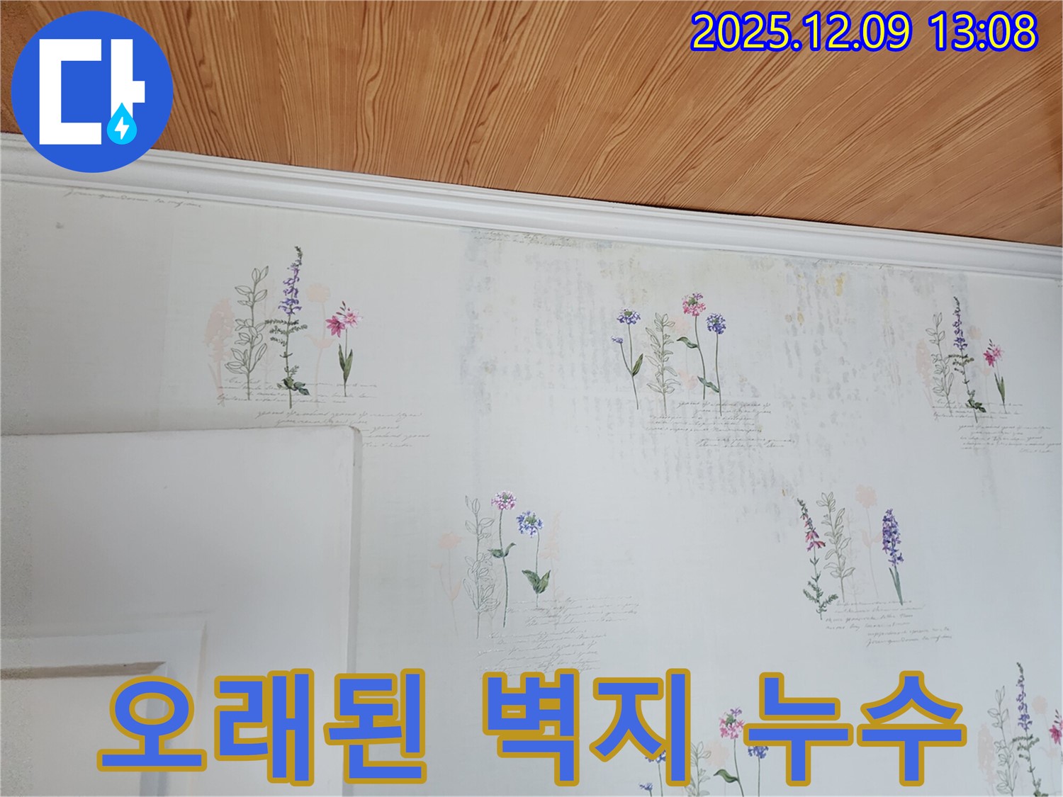 오래된 벽지 - 누수 위험 - 정기 점검