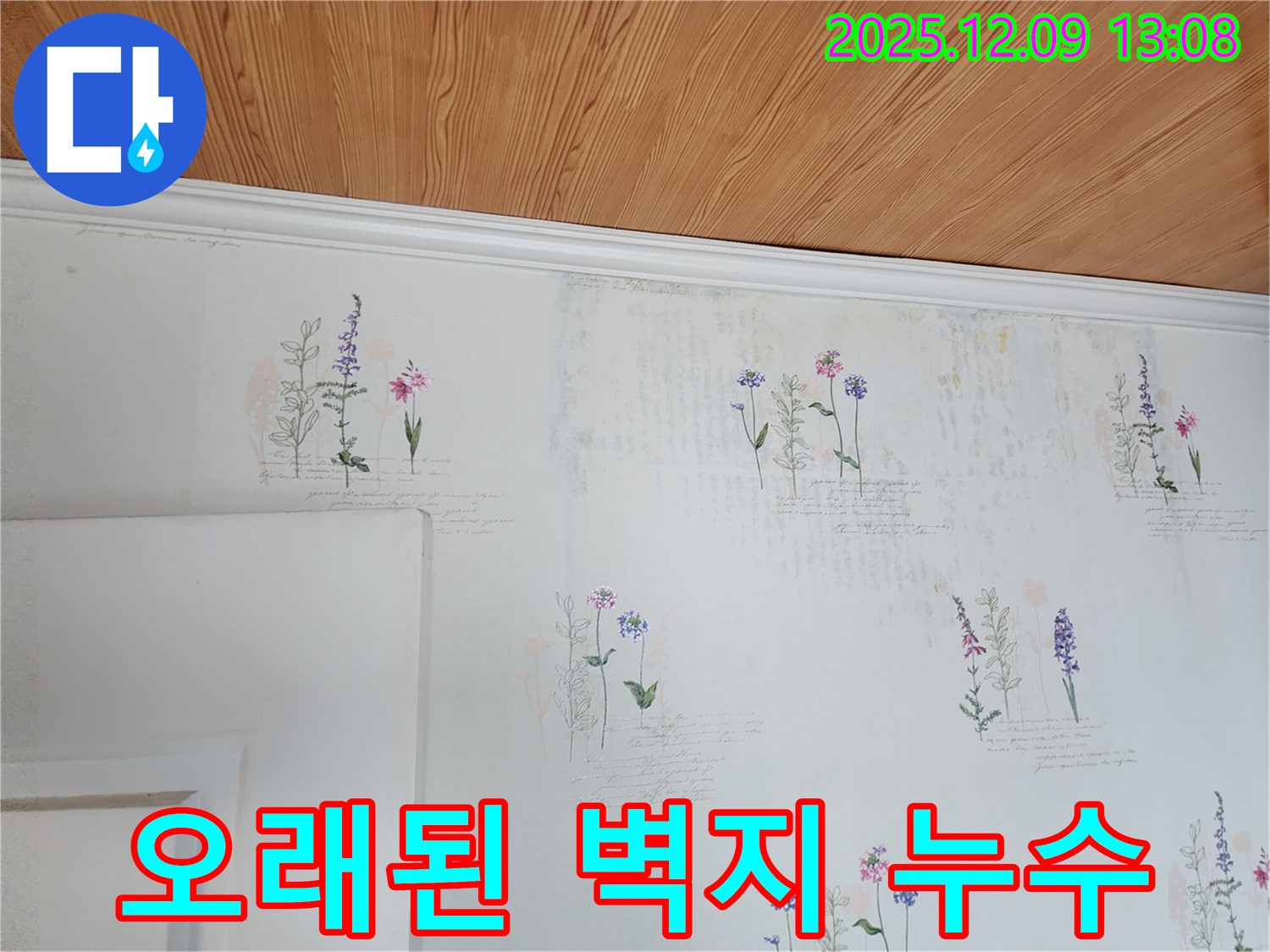 오래된 벽지 - 누수 위험 - 진단 및 해결