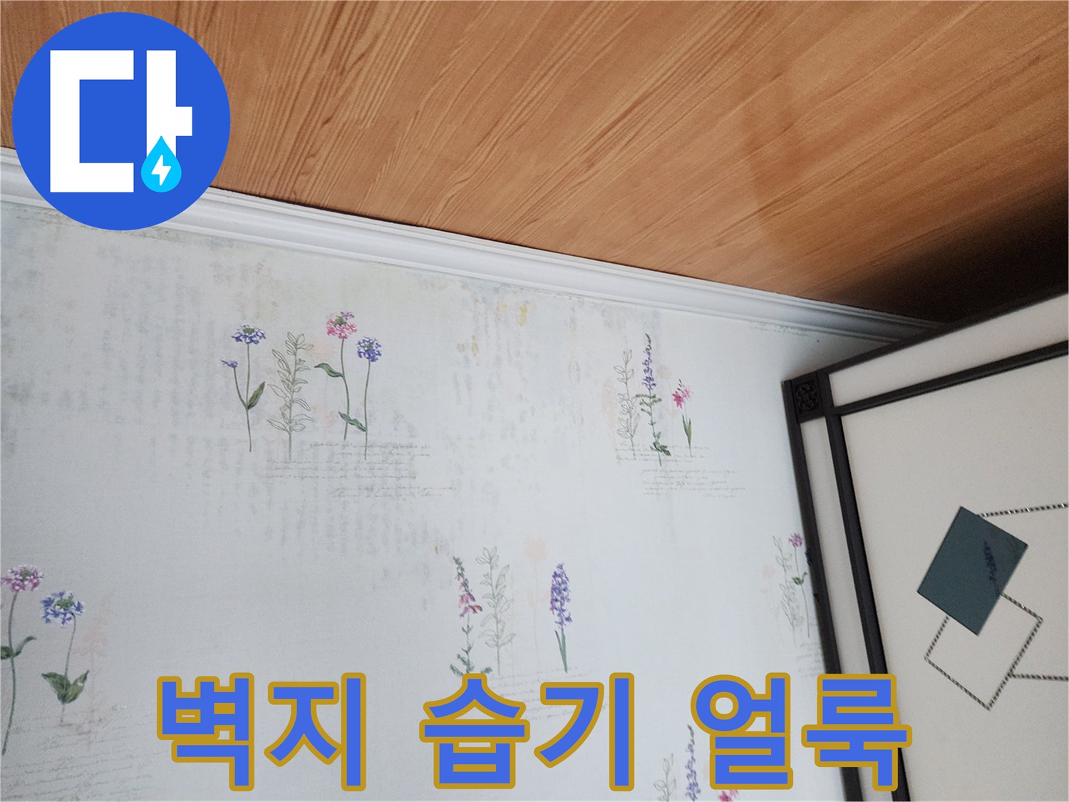 천장 벽지의 미세한 변색 및 젖음 현상 포착