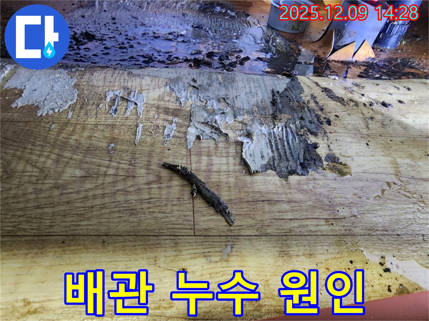 금주리 누수 - 젖은 장판 아래 배관 문제 발견