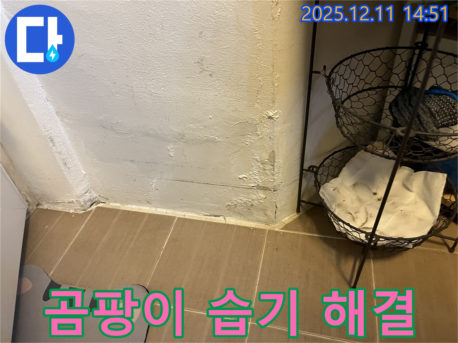 마포 누수탐지 - 곰팡이와 습기 해결