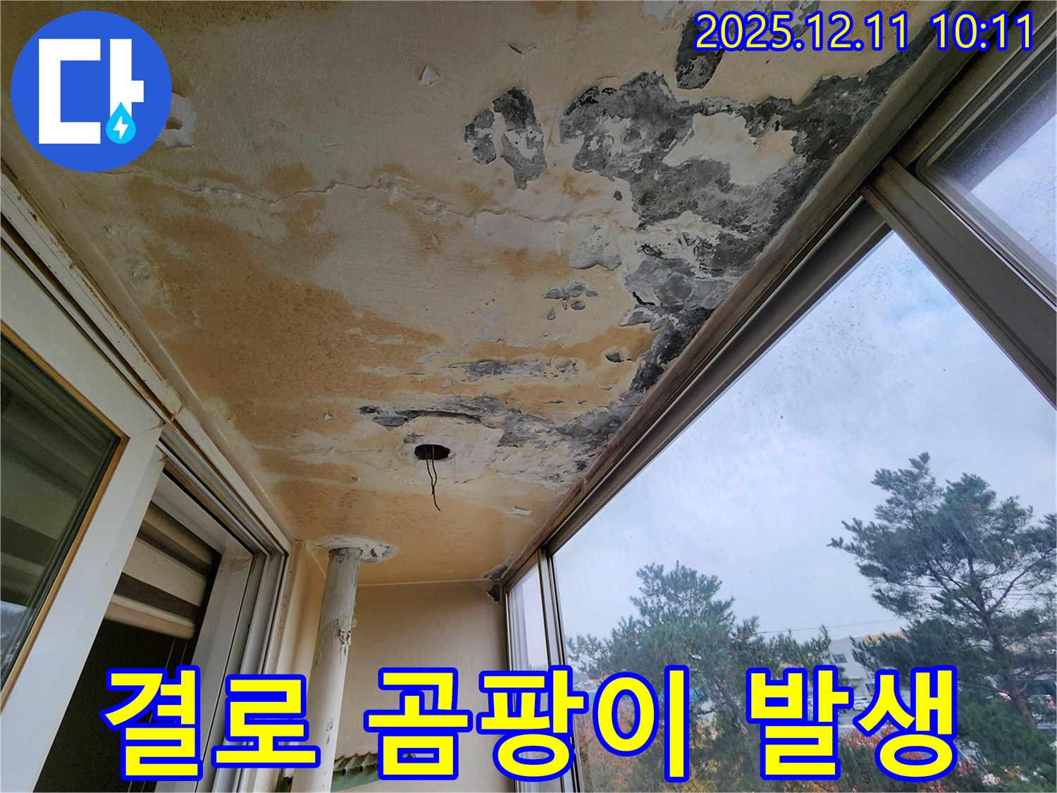 결로 - 곰팡이 - 습기 주의