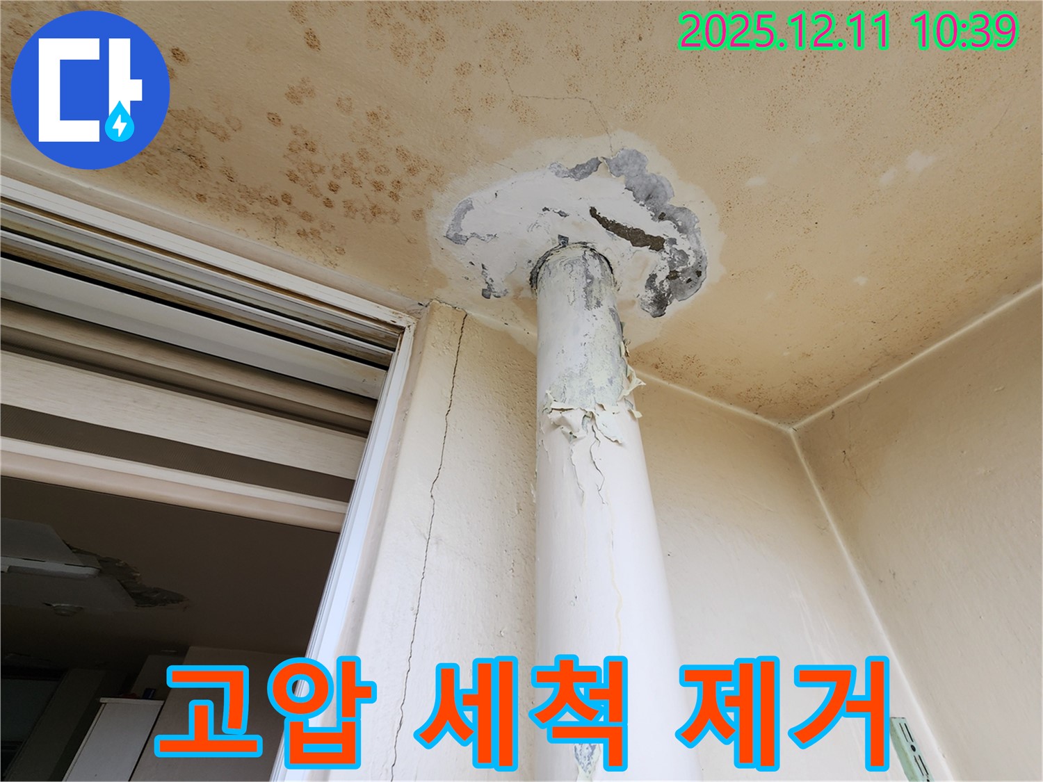 고압 세척 - 곰팡이 제거 - 깨끗하게
