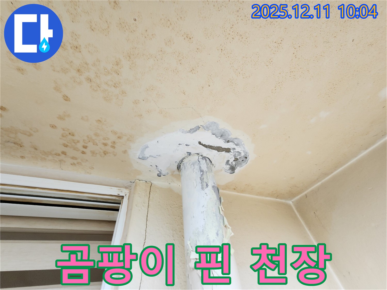 곰팡이 꽃 핀 천장 - 누수와의 전쟁을 선포합니다!