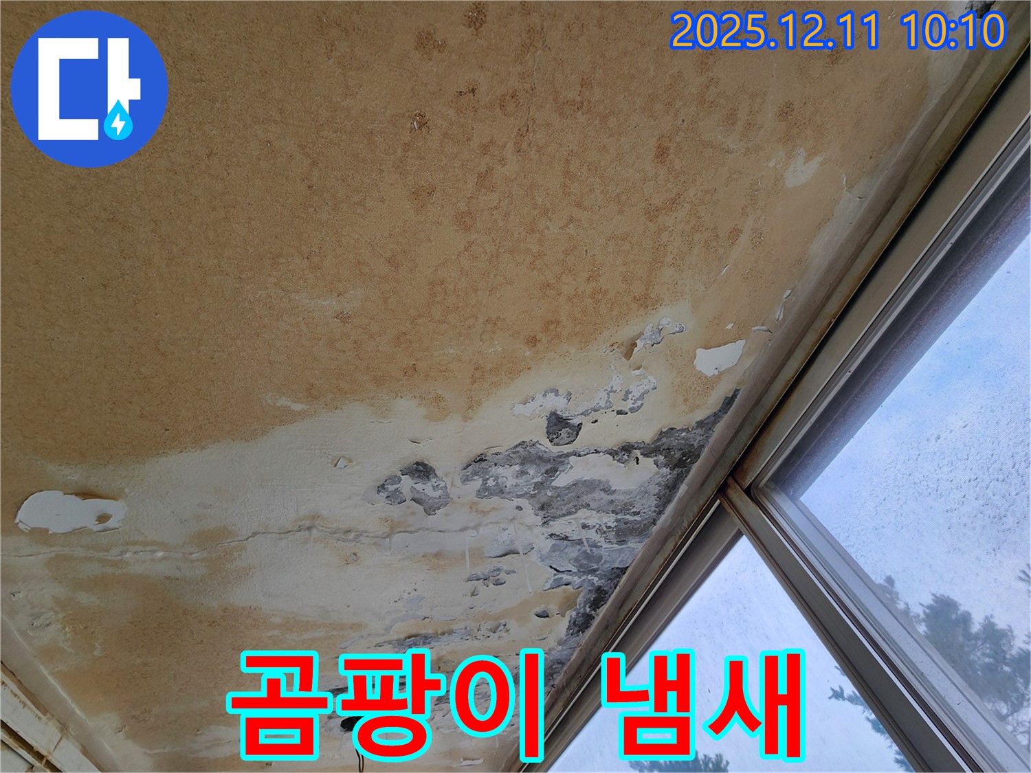 곰팡이 냄새 제거 작업 - 상쾌한 공간으로 탈바꿈