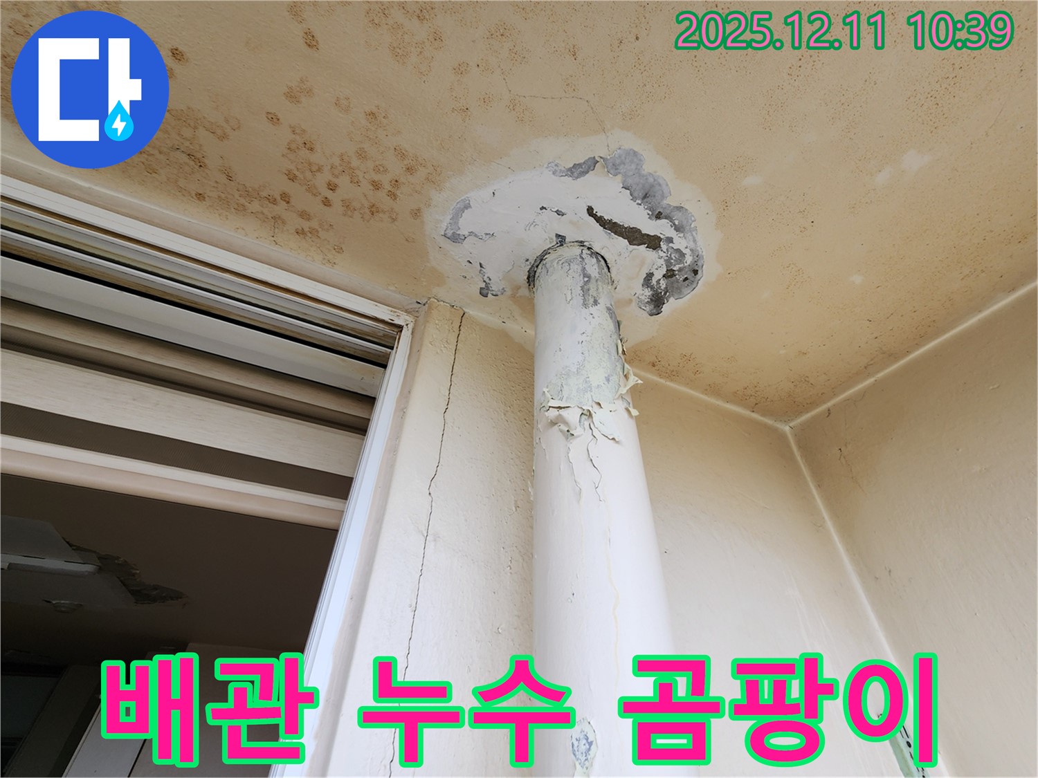낡은 배관 - 천장 누수 - 곰팡이 문제