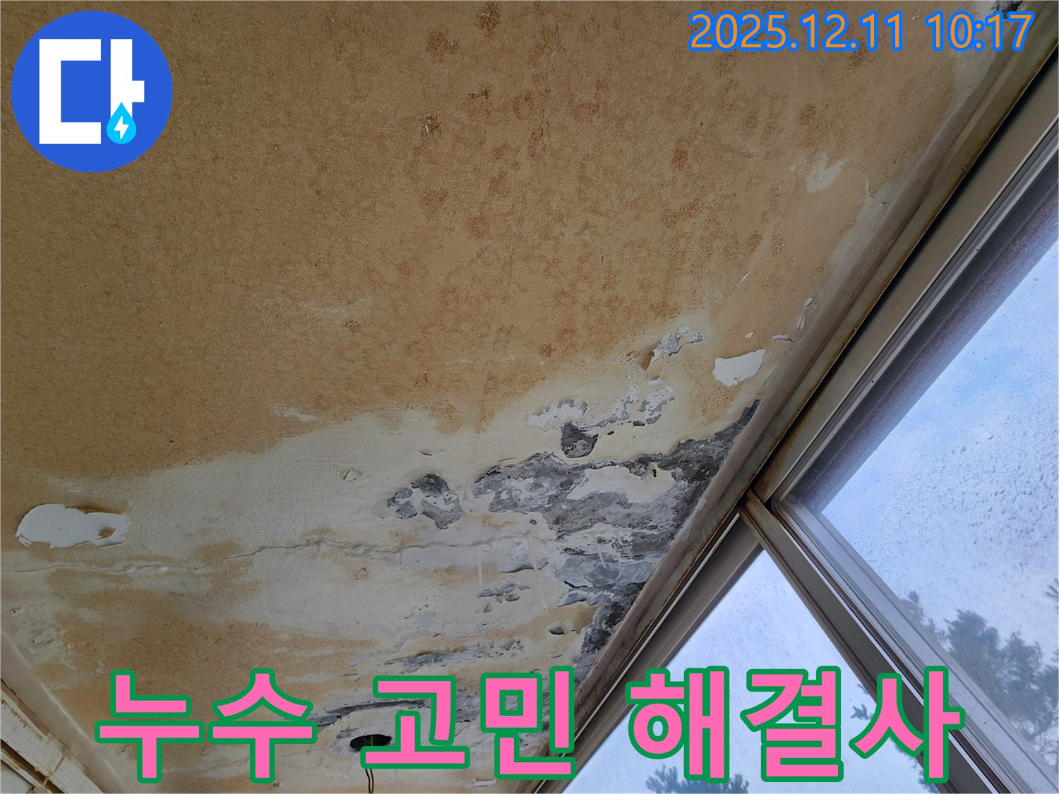 누수 고민 해결 - 전문가 상담