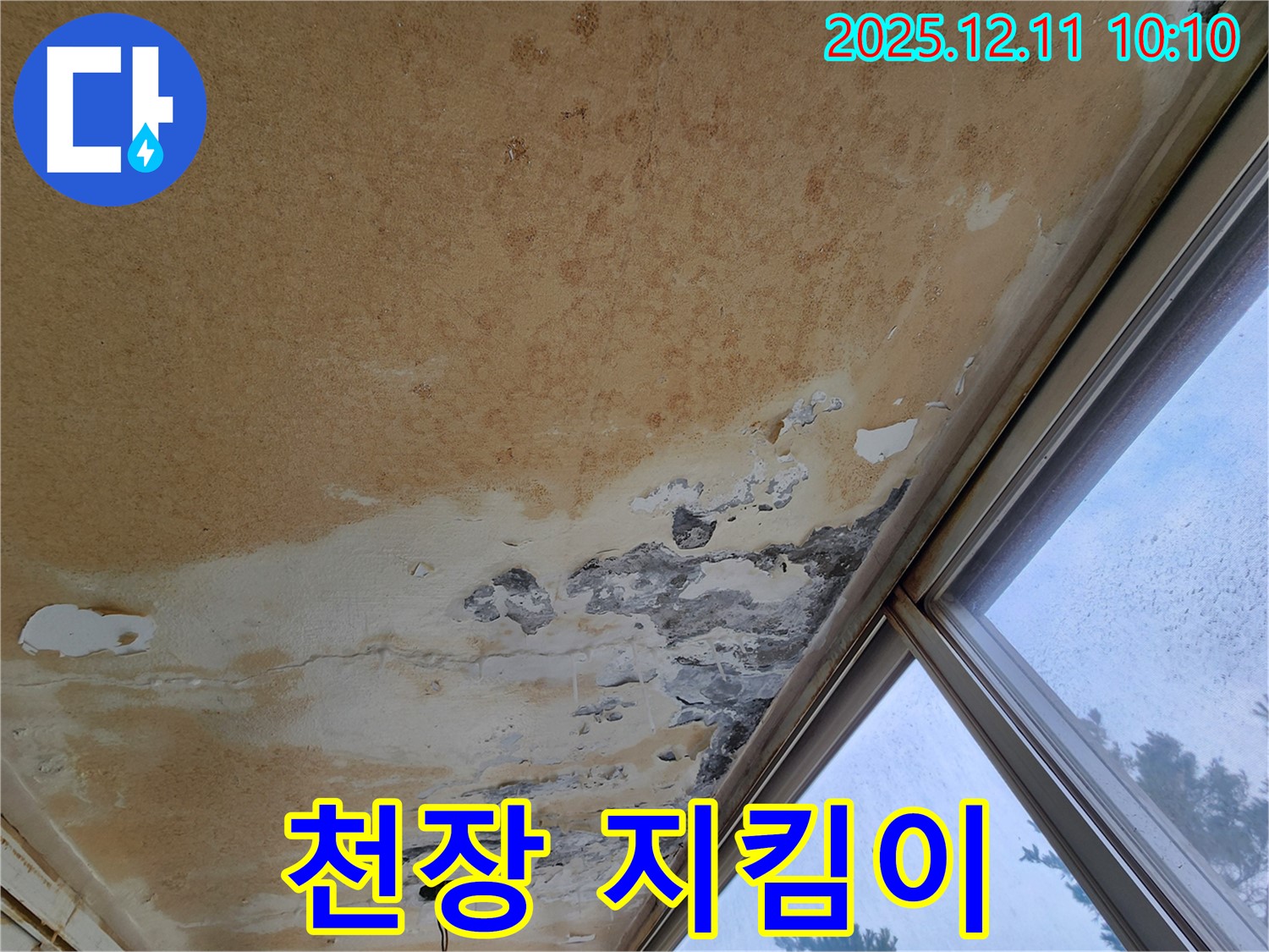 누수 전문가 - 꼼꼼하게 천장을 점검하는 모습