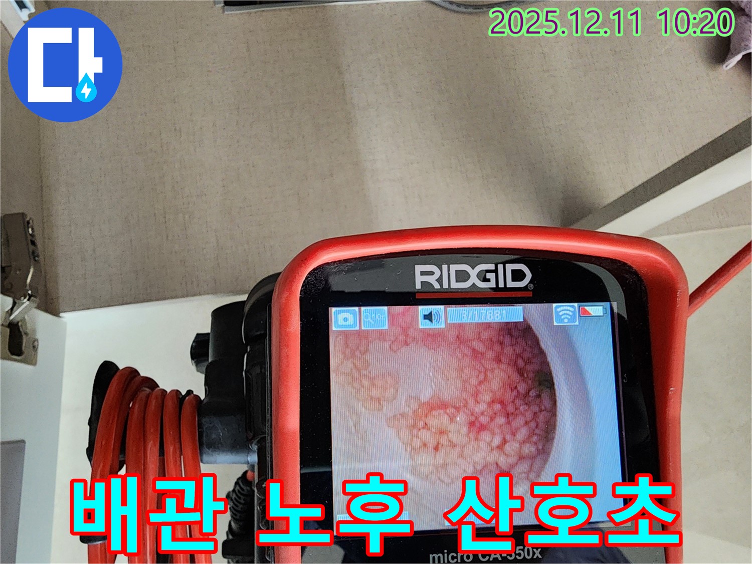 배관 노후 산호초 - 위험천만